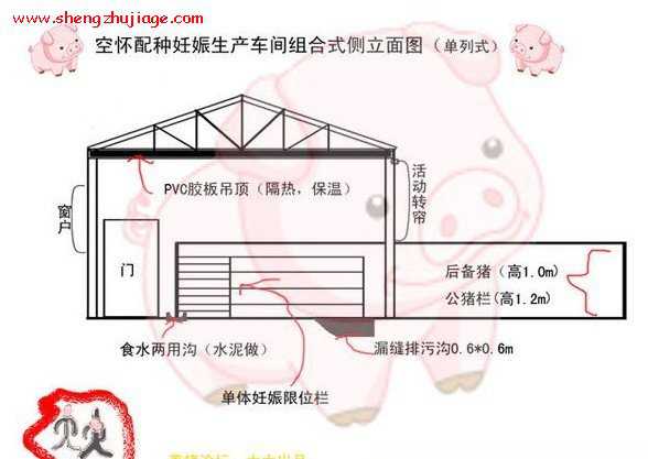 �������ͼ55ͷĸ��