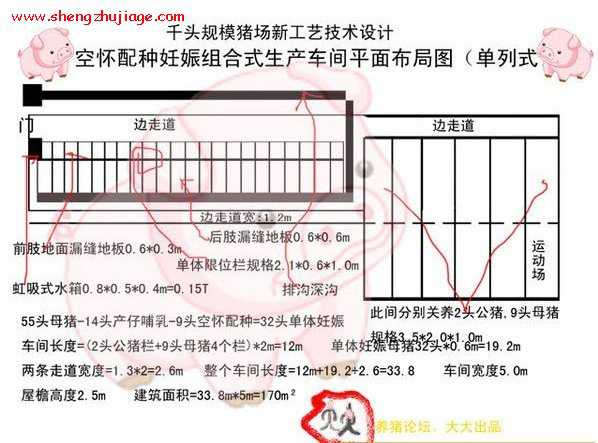 �������ͼ55ͷĸ��