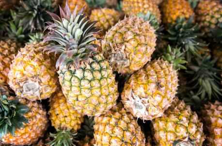 脱水菠萝的加工