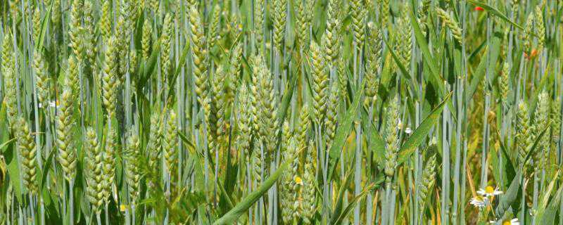 �����������ܴ�������