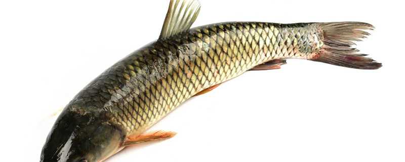 ����ε��ۺ�֢��ô��