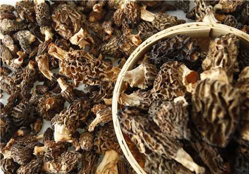 ��Ǿ�����Ǯһ��