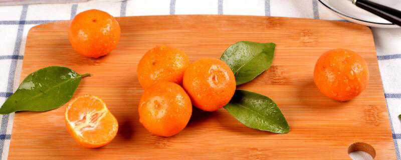 四川桔子什么时候成熟