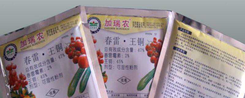 ����ũ����