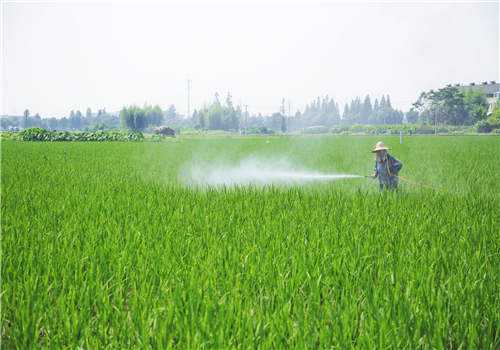 ��������ͭ�Ĺ�Ч