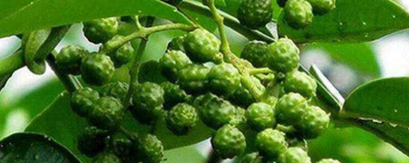 �齷ʲôʱ�����