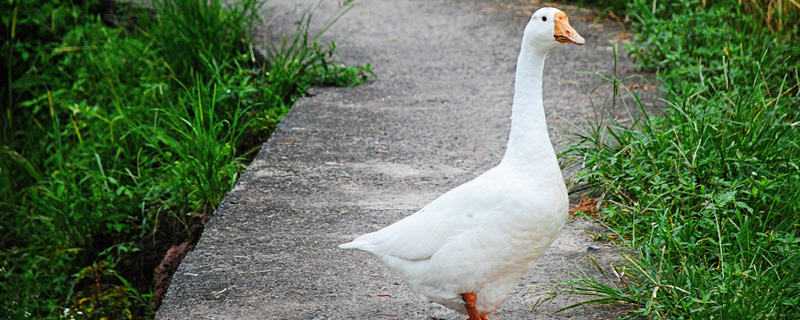 �������ô��