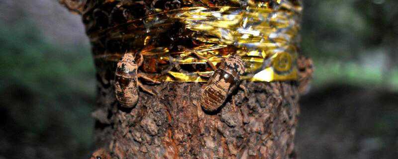 �����ֳ���׿ɲ�����