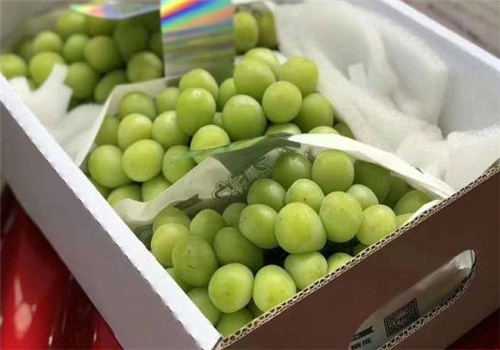 �������ѵļ۸�