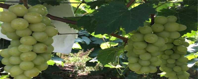 ���ϵ�����