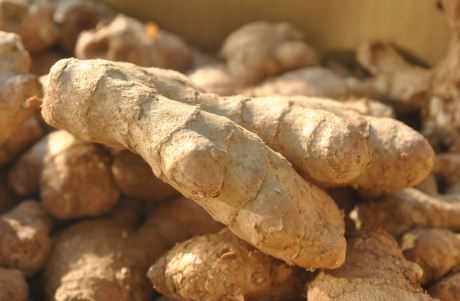 �����۸����Ǯһ��