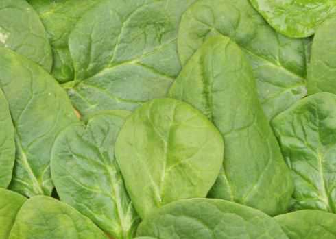 ľ����ʲôʱ����