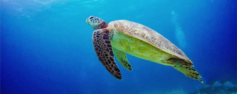 ����ǹ��ұ���������