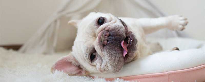 С�ֹ���Ʒ������Щ