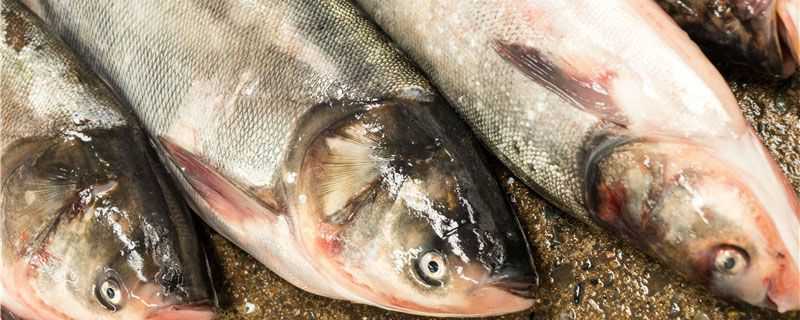 ��ˮ������ЩƷ��