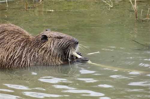 �����������Ǯ