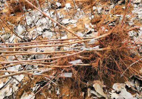 �����޽ӷ���