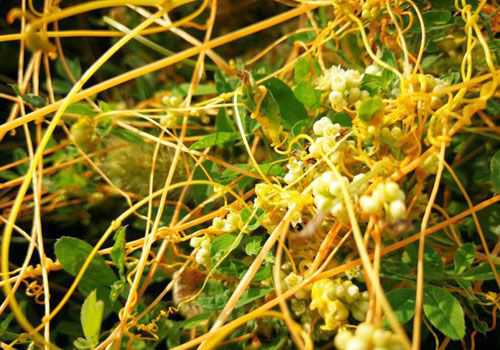 ��˿�Ӳ�����