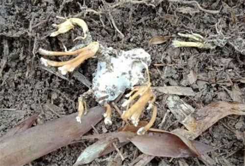 ������ݾ���ʲô��Ч