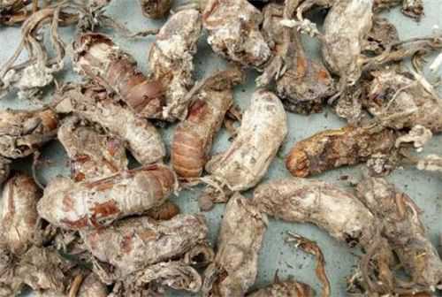 �����ҩ�����Ǯһ��