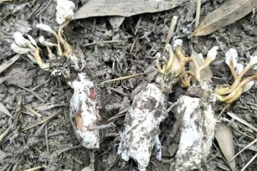 ������Ĳ����ж�