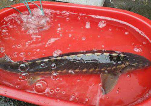 ���������������Щ