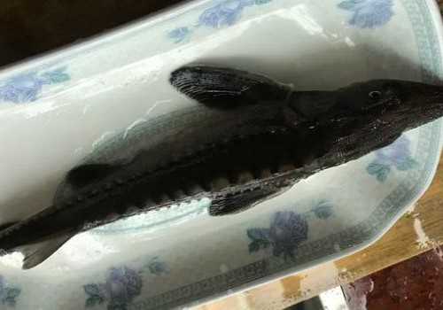 �������Ǻ��㻹�ǵ�ˮ��