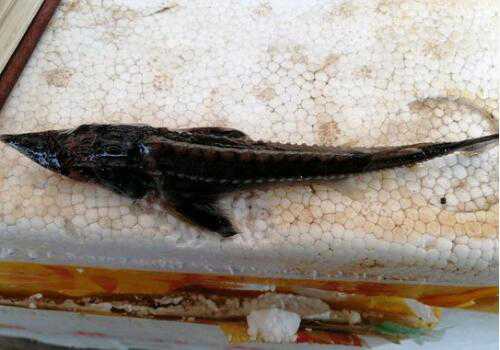 ���������Ǯһ��