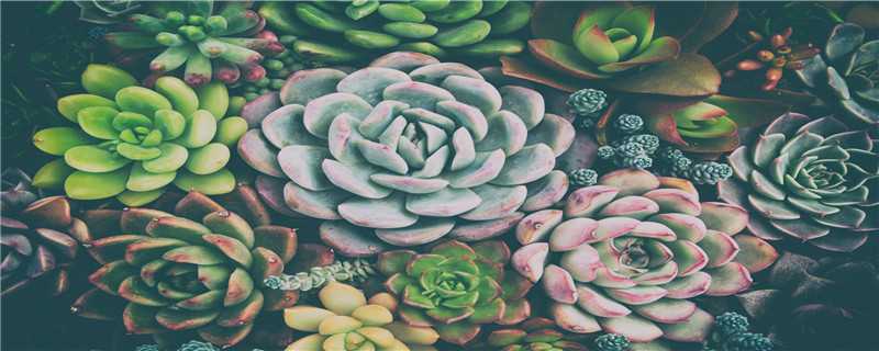 �����Ķ���