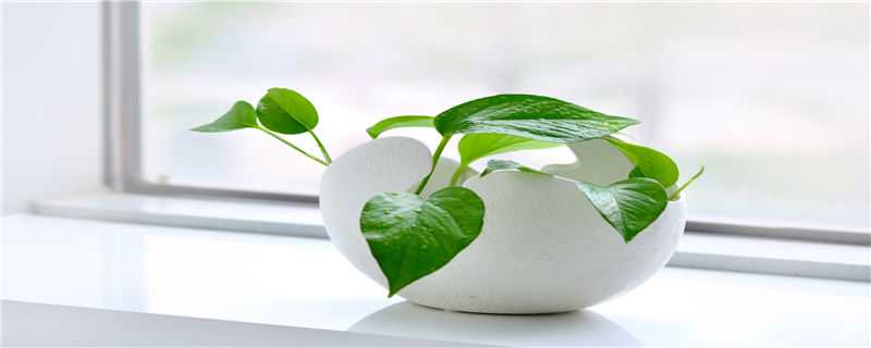 ��ɫ������