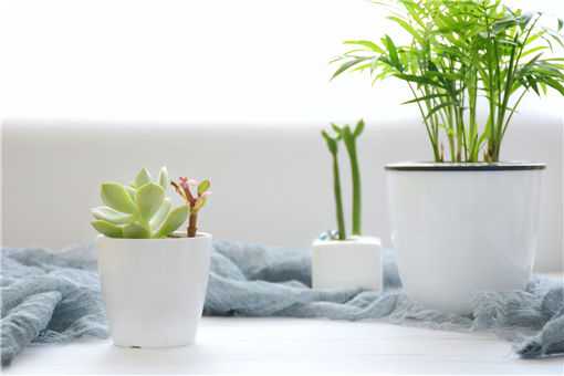 ���Ե�����