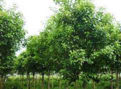 Ů����������ô�֣�������۸��