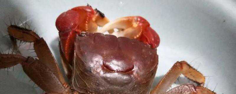 һֻз