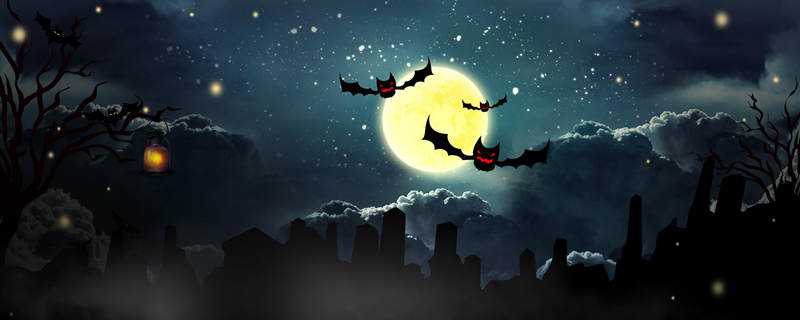 蝙蝠是怎么繁殖的