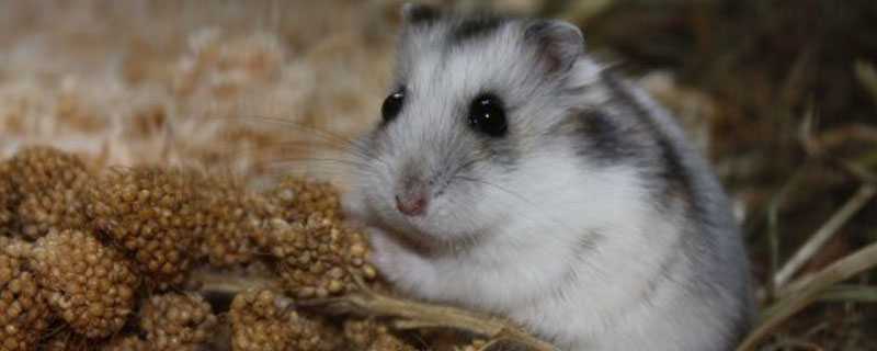 ������׷�ֳ����ô��