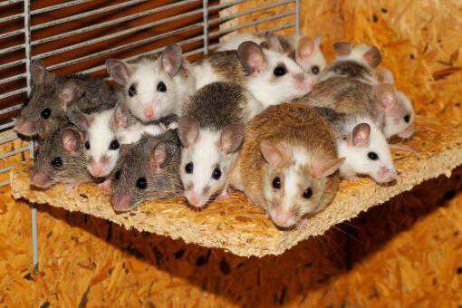 ����ʲôʱ����