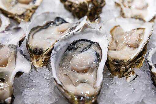 生蚝是寒性食物吗