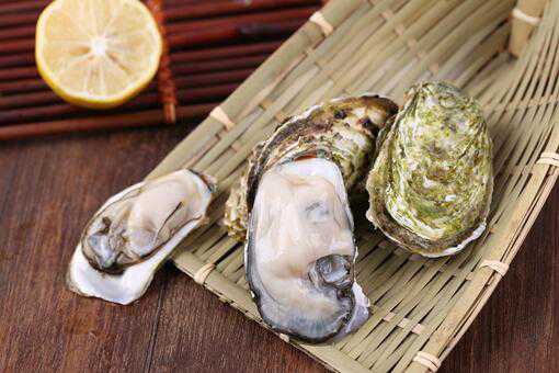 生蚝多少钱一斤