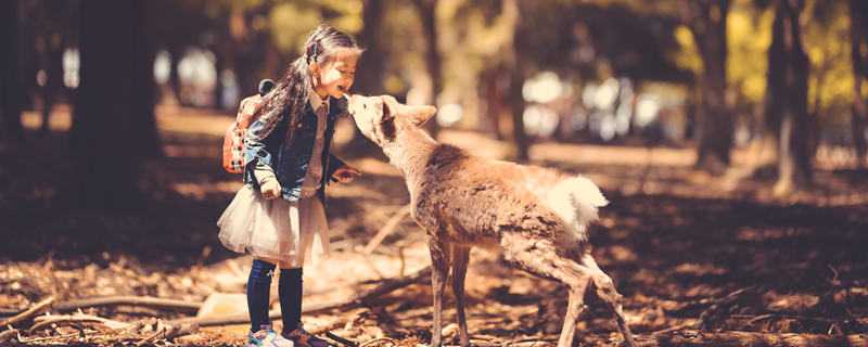 动物怎么过冬天