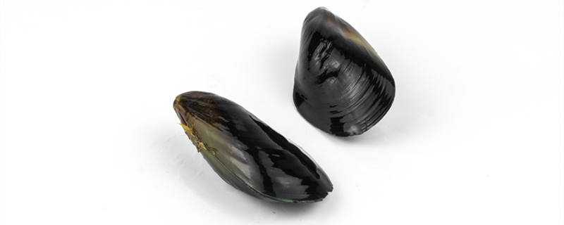 淡菜是什么菜是牡蛎吗