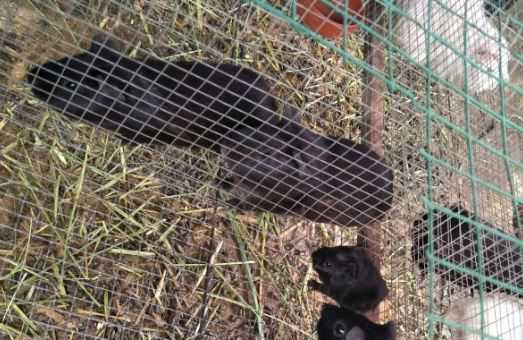 ��������������۸�