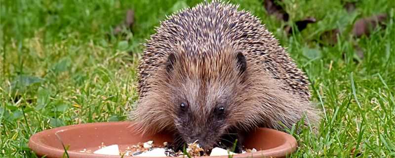 �����ô��������