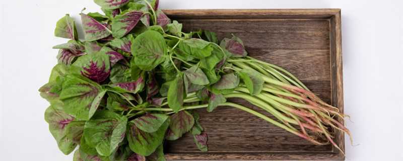 ѪƤ�����Ȳ���