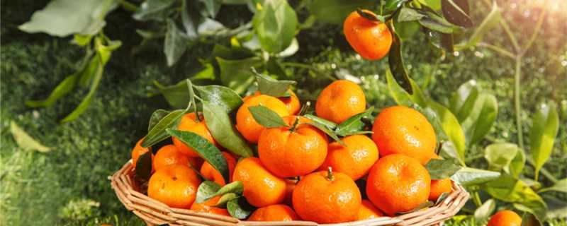 ʮ���ʺ���ʲôˮ����