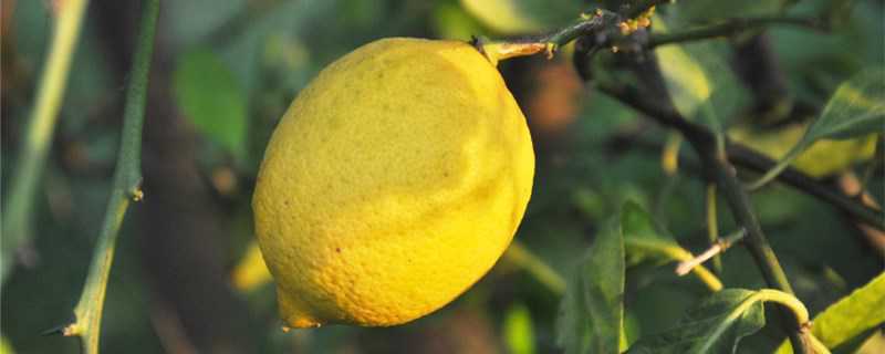 ʮ�·���ʲôˮ����