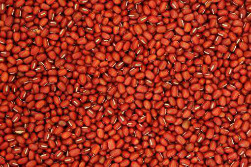 红豆怎么煮容易熟