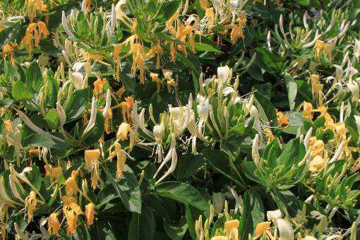 ��������ˮ�ȵĹ�Ч����������Щ