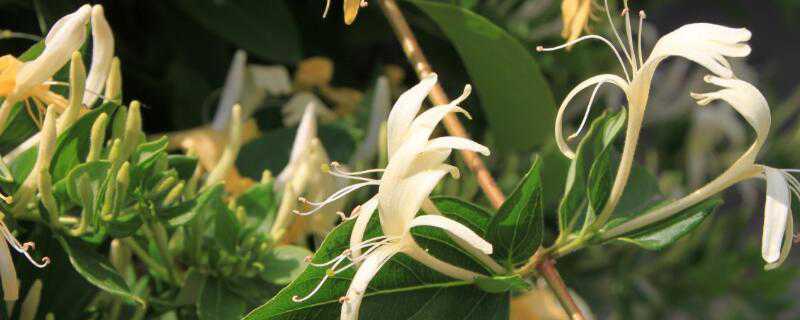 ����������������