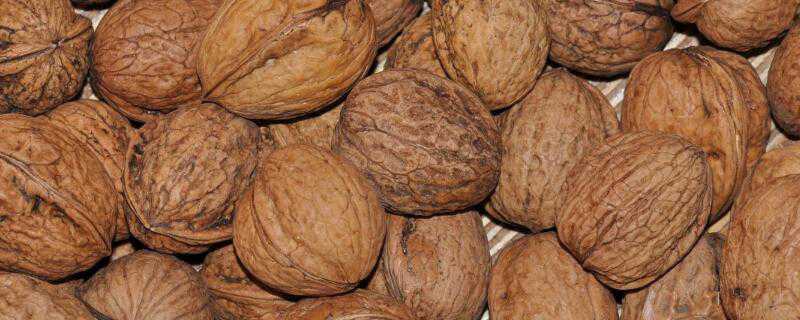 核桃生吃可以吗