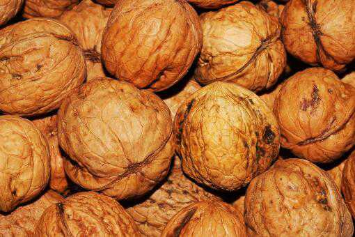 吃核桃有什么好处